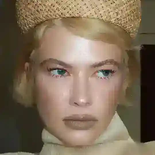 Fashion dnevnik
