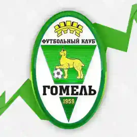ФК «Гомель»