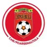 ФК "Арсенал" Тула