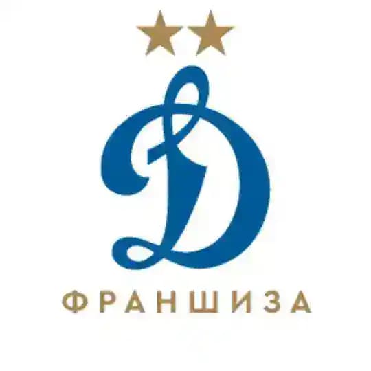 Франшиза Футбольной школы «Динамо»