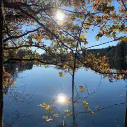 federLeICHT🪶🌎🕊️ Profile