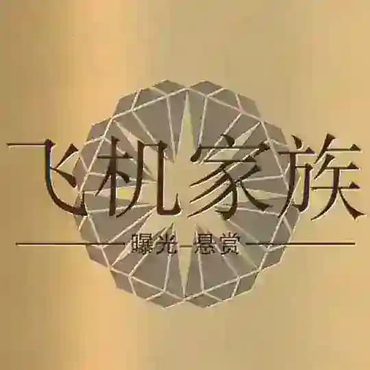 东南亚-飞机曝光所