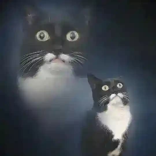 Записки Феликса