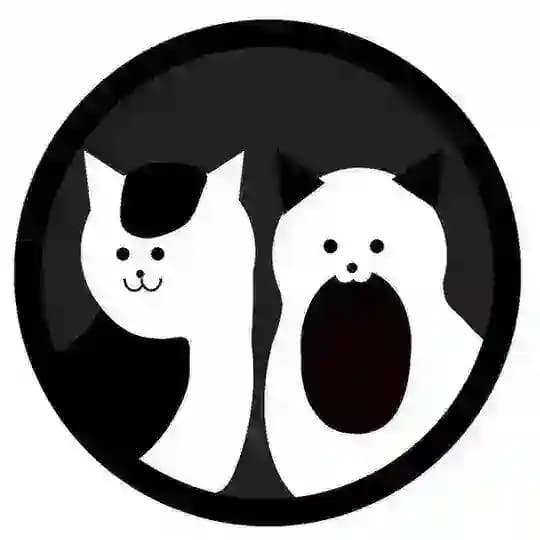 40 кошек
