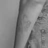 Delicate ink