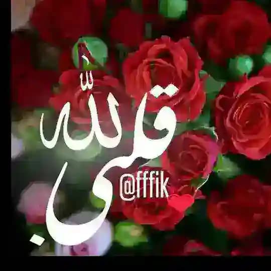 للهِ قلبـي♥️