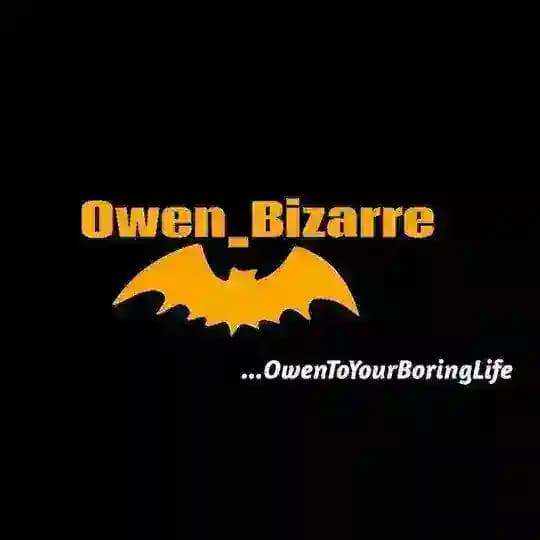 BIZARRE FILE