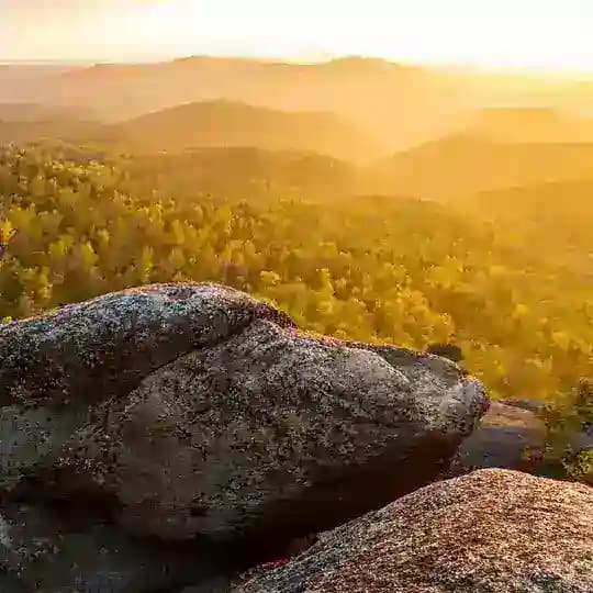 filinin_wallpapers