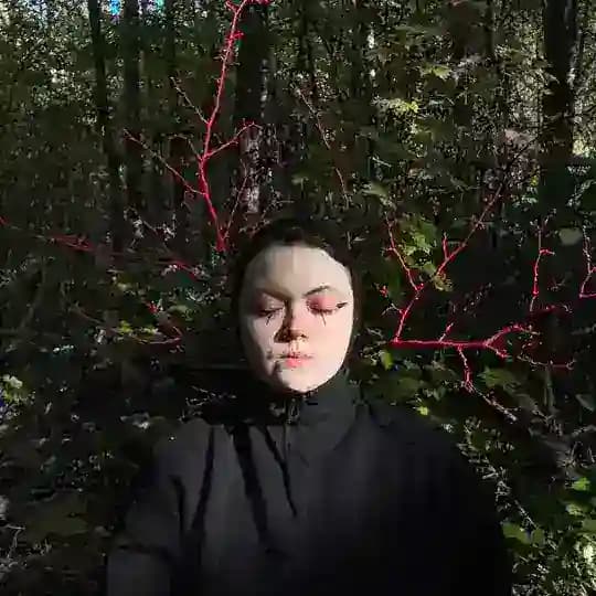 еловый сок
