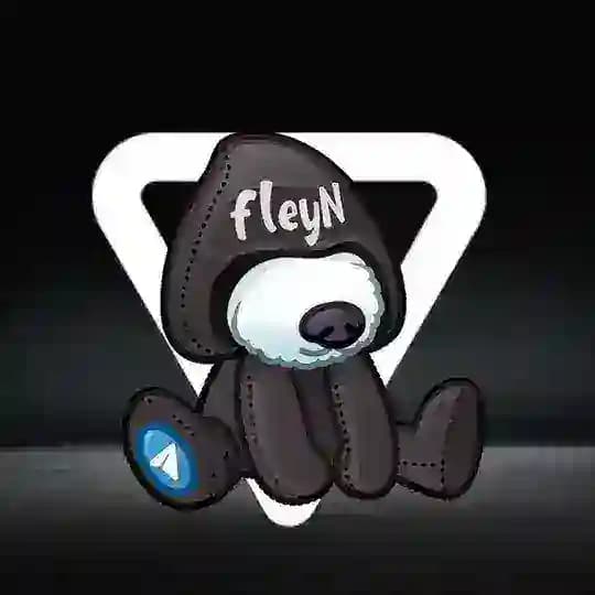 Переходник ⚡️ fleyN