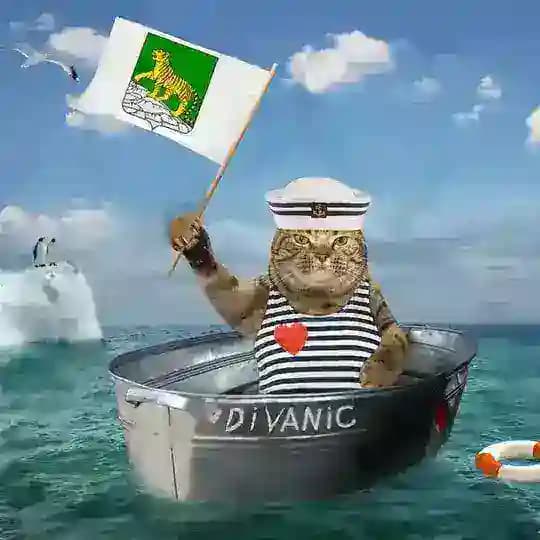 Диванный флот | Вести из Владивостока