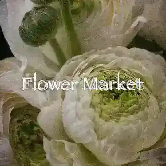 Flower Market