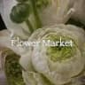 Flower Market