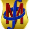 ФМИТ МГУ им. Н.П. Огарёва