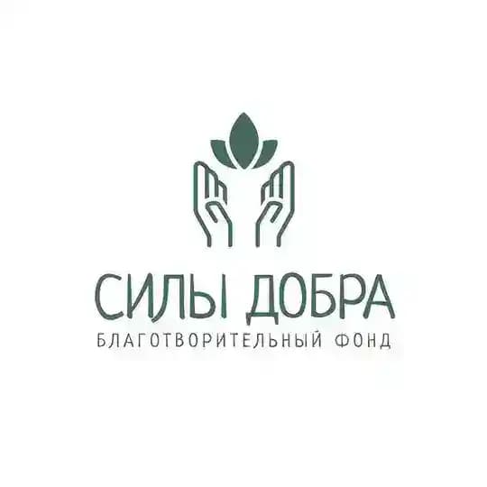 БФ «Силы добра»