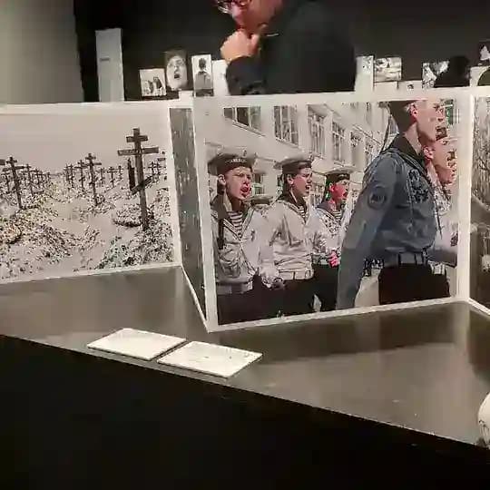 стажировки гранты правозащитникам