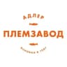 ФОРЕЛЕВОЕ ХОЗЯЙСТВО| СОЧИ