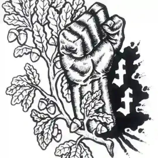 Forest Fights USA