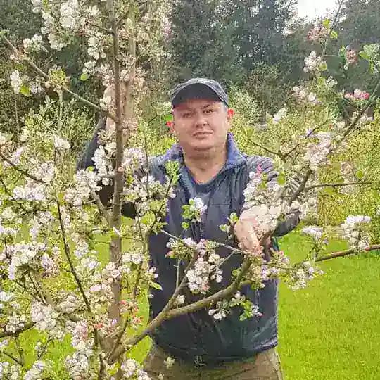 Сад Дмитрия forumsad Всё об уходе за плодовым садом