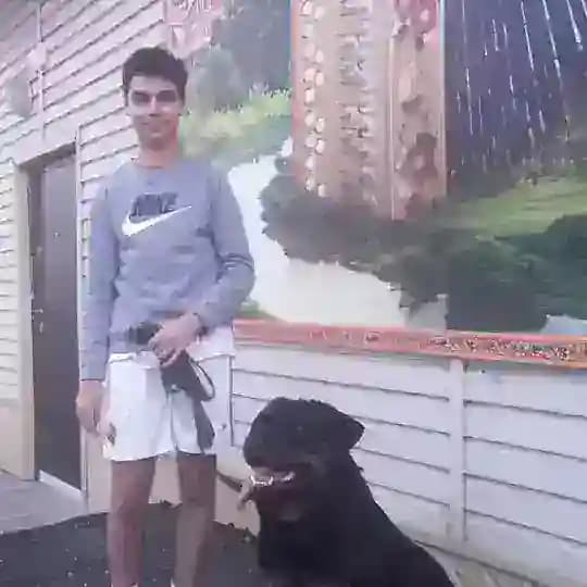Свободу Арсению!