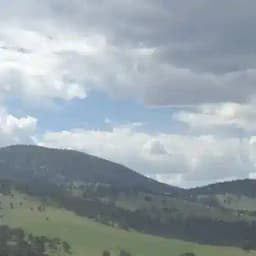 Free State Colorado Profile