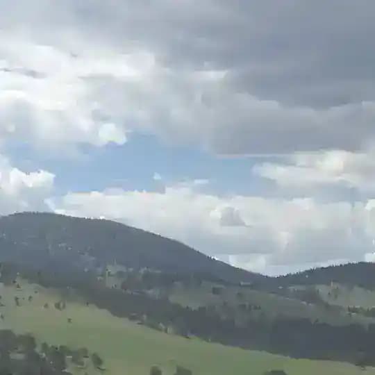 Free State Colorado Profile