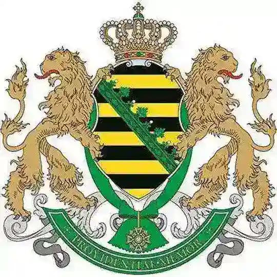 ✏️ Freie Sachsen Elbflorenz 🤍💚 Region Dresden Profile