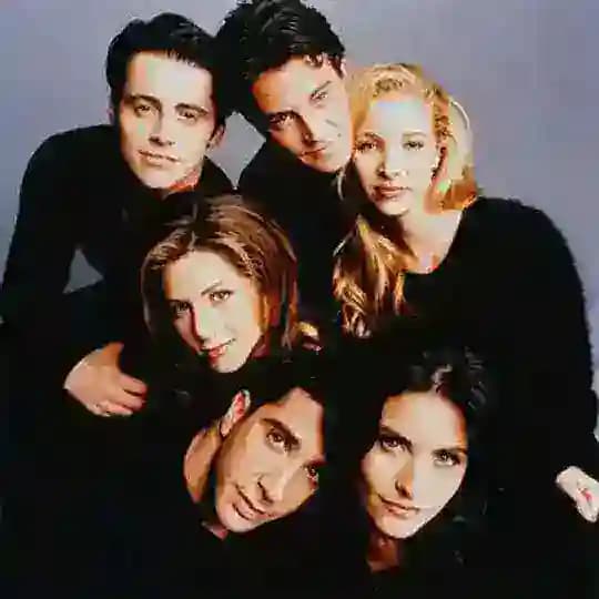 Friends TV Series Profile