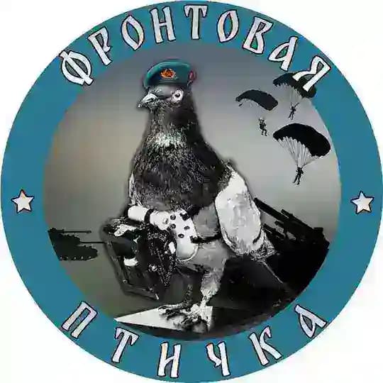Фронтовая птичка