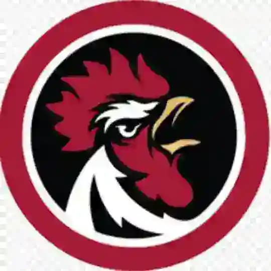 Lịch Thi Đấu & Kết Quả Gà Chọi C1 Profile