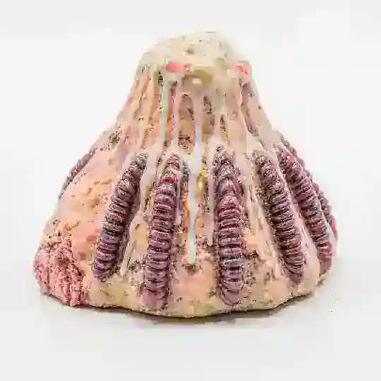 gavrilow : blog / archives Profile