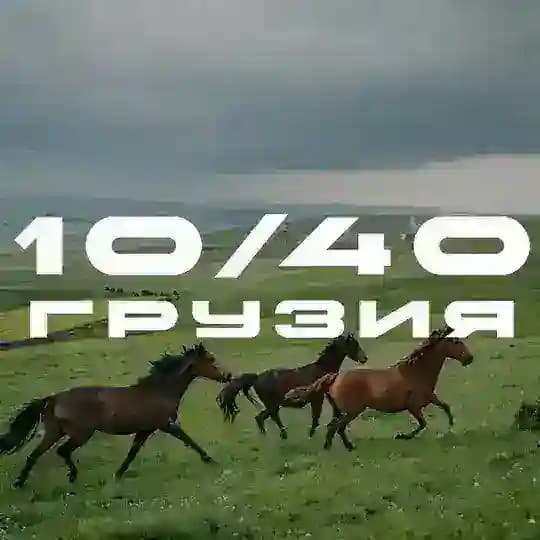 10/40 Georgia Profile