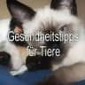 🐱 Gesundheitstipps für Tiere 🐶