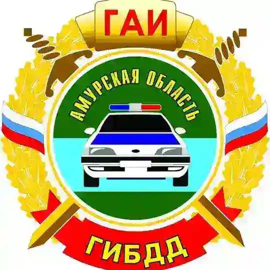 Госавтоинспекция Амурской области