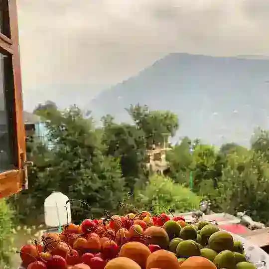 🏔 Гималайские группы