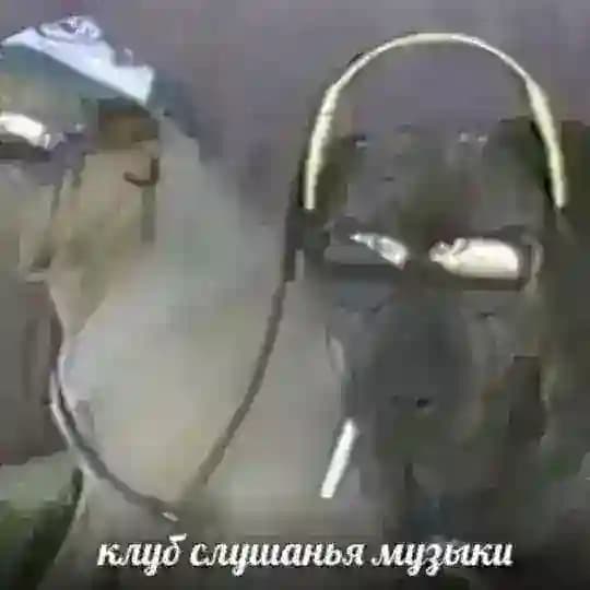 голем "голем голем" голем (голем голем)