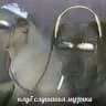 голем "голем голем" голем (голем голем)