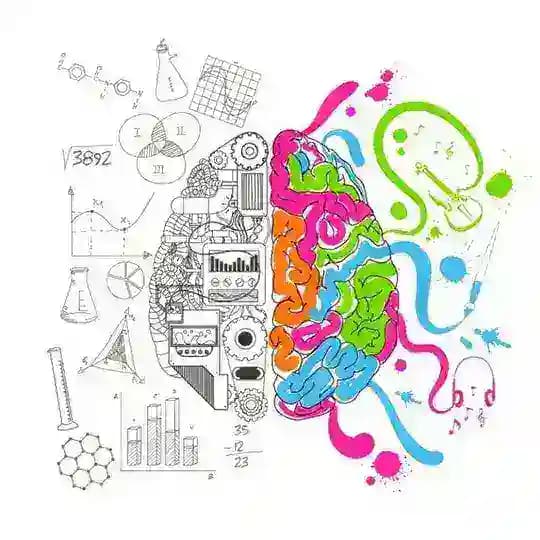 Graphics design || ui ux || video editing || illustration || Adobe Photoshop || Adobe premiere Pro