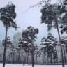 Зелёная Преображенка
