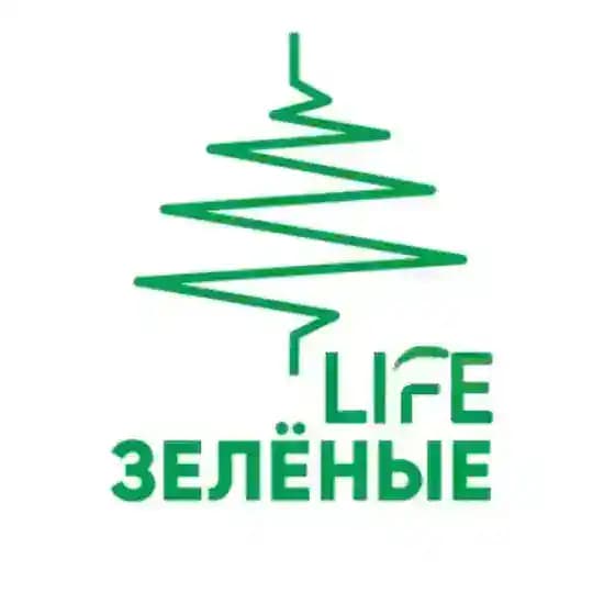 ЗЕЛЁНЫЕ 24 Life Profile