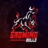 Growing Bulls