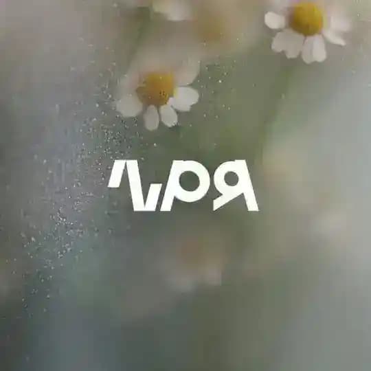 Цветочная грядка