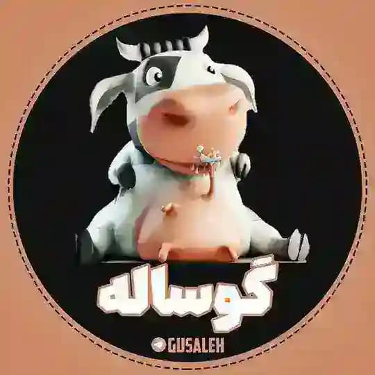 گوساله