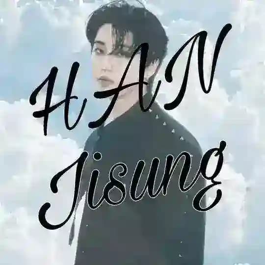 🐿️ HAN Brasil - StrayKids - DO IT Profile