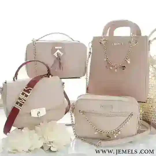 HandBag Branded StoRe