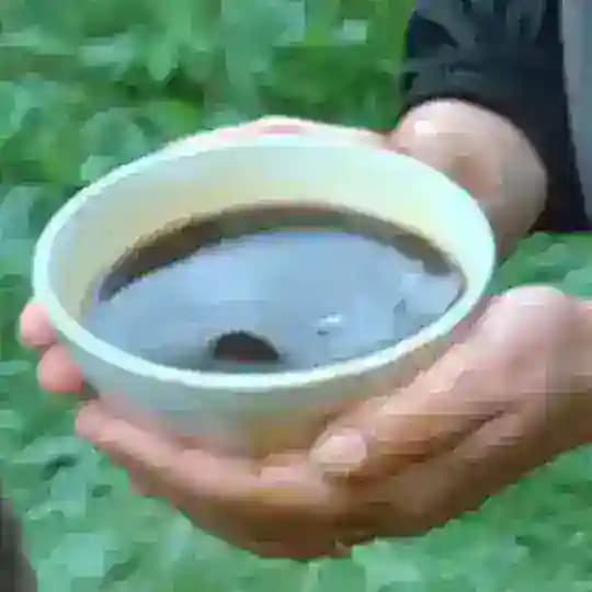 Руки Брессона