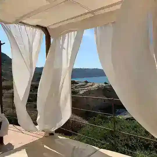 🕊 Happiness is the way 🕊 Profile