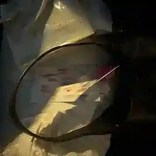 havensent ₊˚♪ 𝄞₊˚⊹ Profile