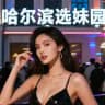 哈尔滨｜选妹园
