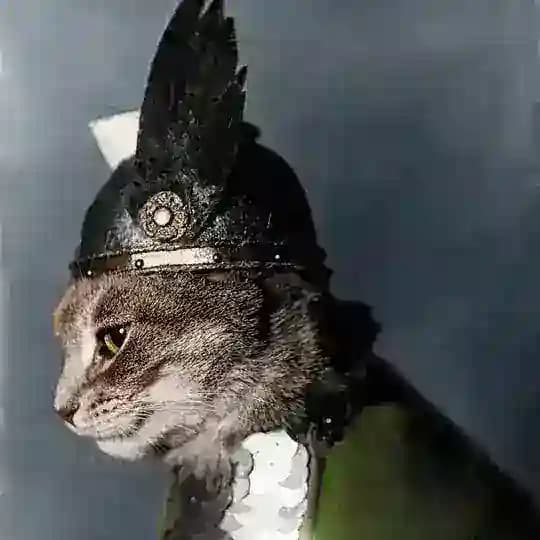 Цветная История
